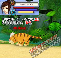 ��¹���ǡ����޲�׽ �������ϸ����