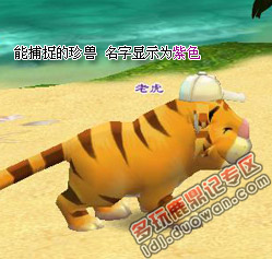 ��¹���ǡ����޲�׽ �������ϸ����